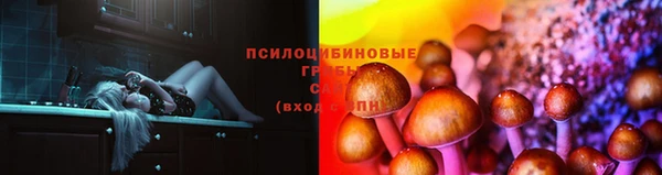 гидра Янаул