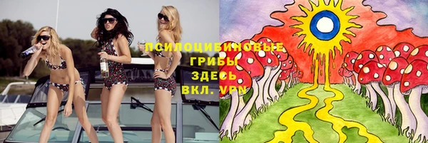 индика Фёдоровский