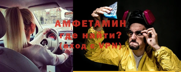 индика Фёдоровский