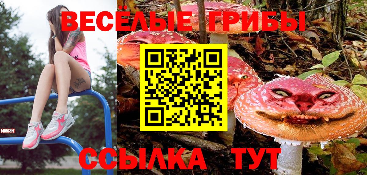 Галлюциногенные грибы прущие грибы Алексин