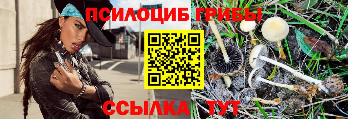 Алексин  Псилоцибиновые грибы MAGIC MUSHROOMS  Вход с VPN 
