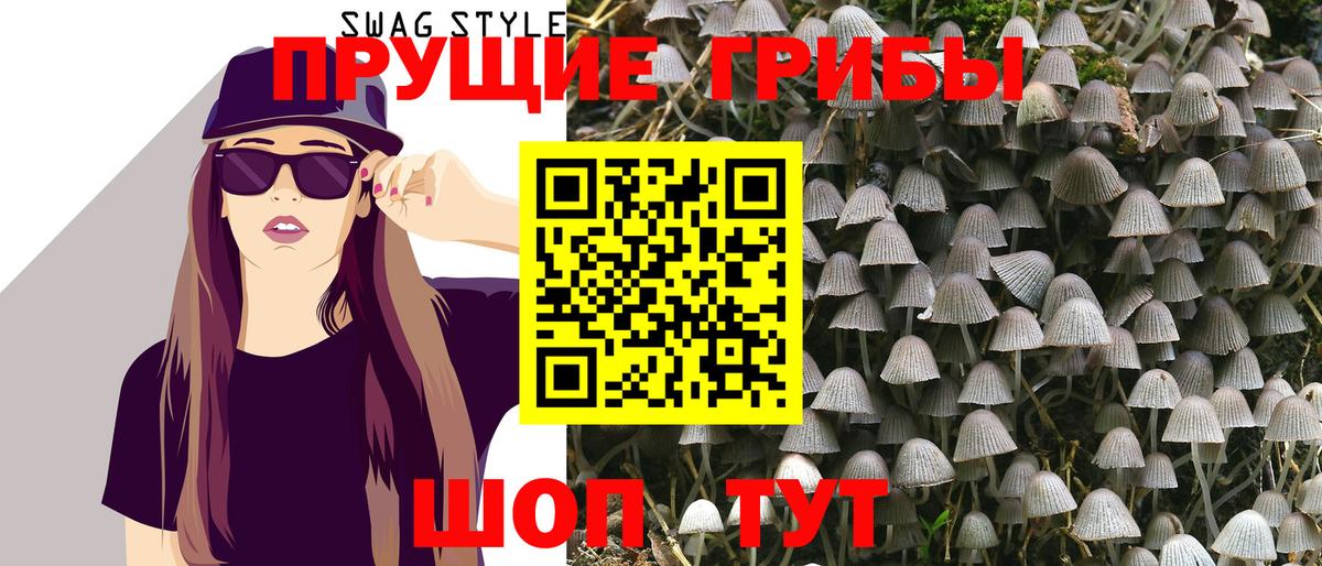 закладки  Галлюциногенные грибы ЛСД  Вход с VPN  Псилоцибиновые грибы MAGIC MUSHROOMS  Алексин 