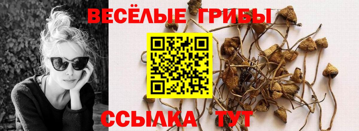 Галлюциногенные грибы Magic Shrooms Алексин