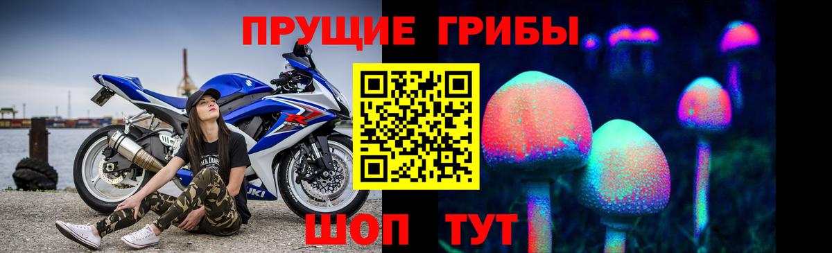 Псилоцибиновые грибы Cubensis Алексин